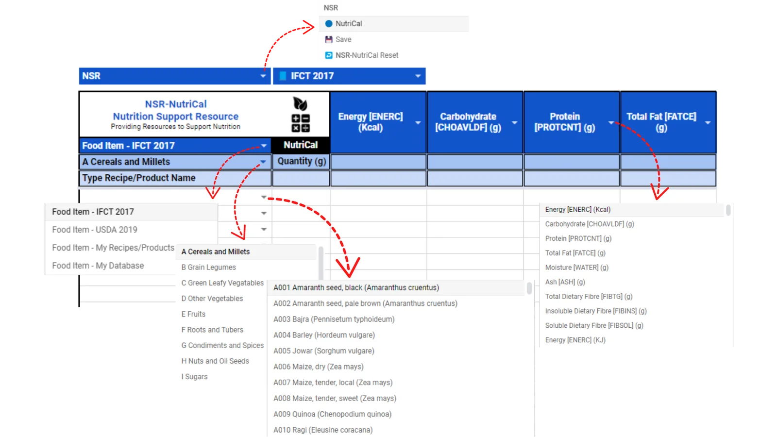 NSR-NutriCal_Website.webp